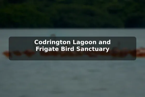 Codrington Lagoon and Frigate Bird Sanctuary