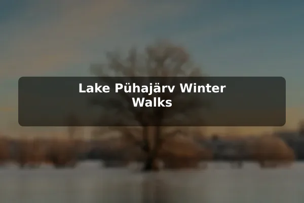 Lake Pühajärv Winter Walks
