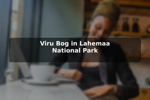 Viru Bog in Lahemaa National Park