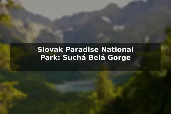 Slovak Paradise National Park: Suchá Belá Gorge