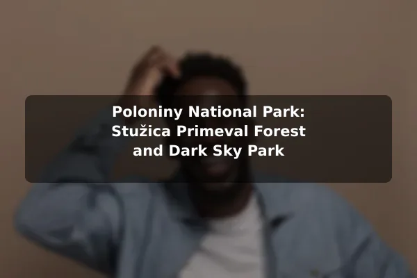 Poloniny National Park: Stužica Primeval Forest and Dark Sky Park