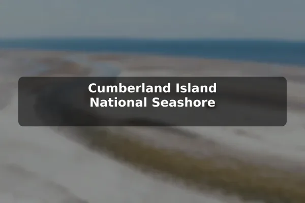 Cumberland Island National Seashore