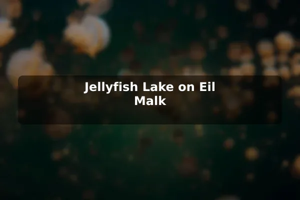 Jellyfish Lake on Eil Malk