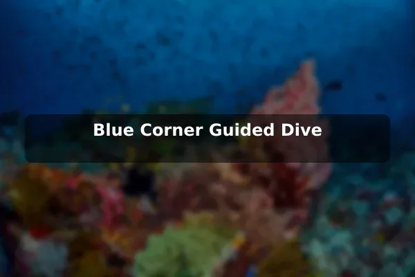 Blue Corner Guided Dive