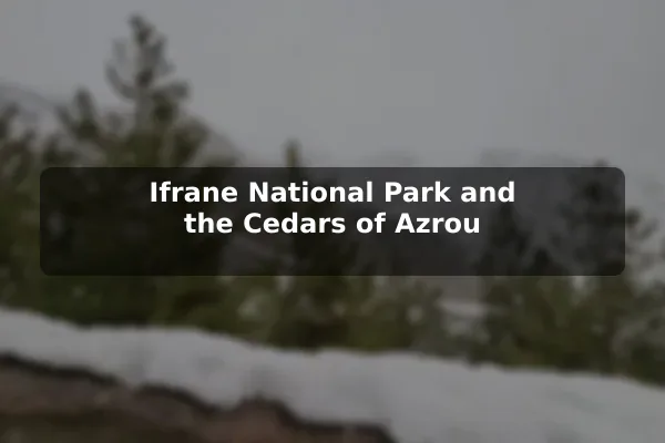 Ifrane National Park and the Cedars of Azrou