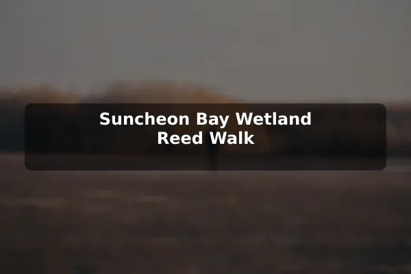 Suncheon Bay Wetland Reed Walk