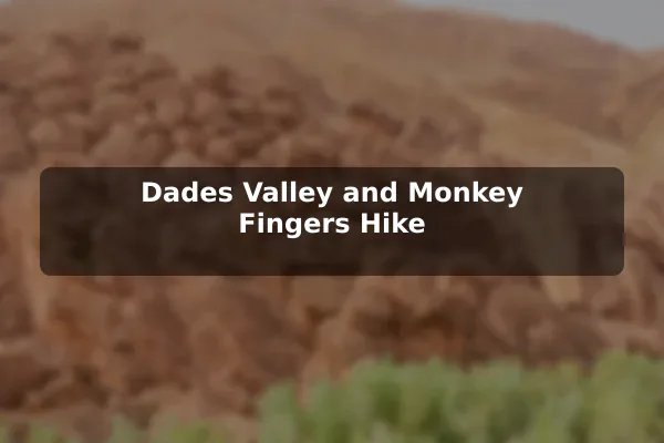 Dades Valley and Monkey Fingers Hike