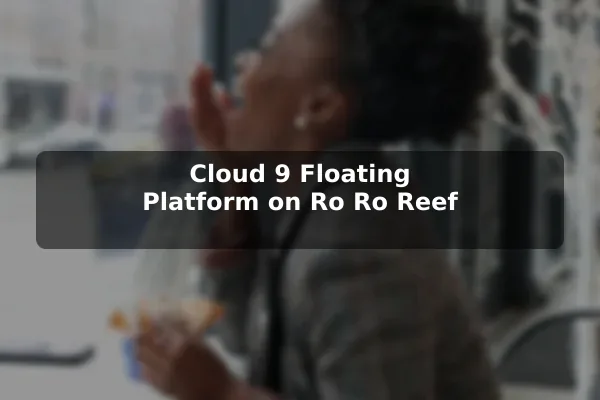 Cloud 9 Floating Platform on Ro Ro Reef