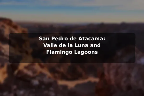 San Pedro de Atacama: Valle de la Luna and Flamingo Lagoons