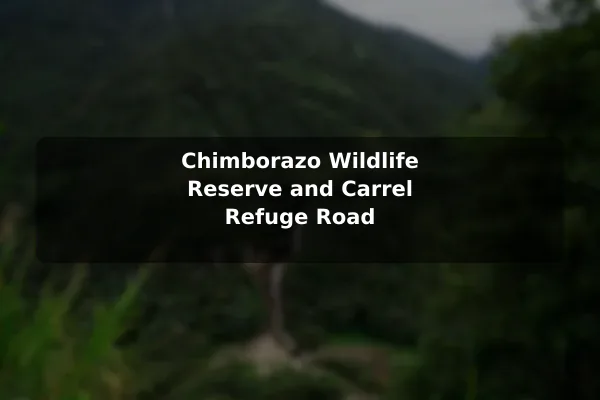 Chimborazo Wildlife Reserve and Carrel Refuge Road