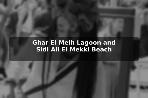 Ghar El Melh Lagoon and Sidi Ali El Mekki Beach