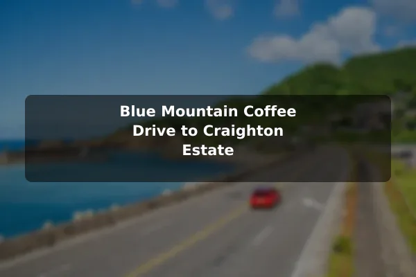 Blue Mountain Coffee Drive to Craighton Estate