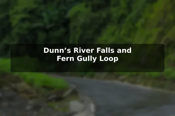 Dunn’s River Falls and Fern Gully Loop