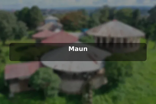 Maun