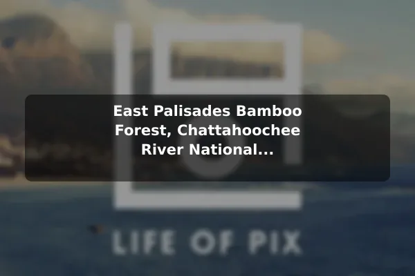 East Palisades Bamboo Forest, Chattahoochee River National Recreation Area