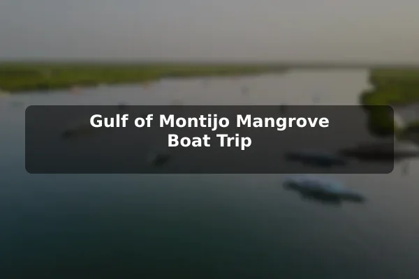 Gulf of Montijo Mangrove Boat Trip