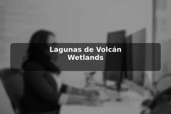 Lagunas de Volcán Wetlands